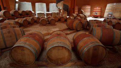 Brindis con vino y oro líquido en Bodegas Emilio Valerio